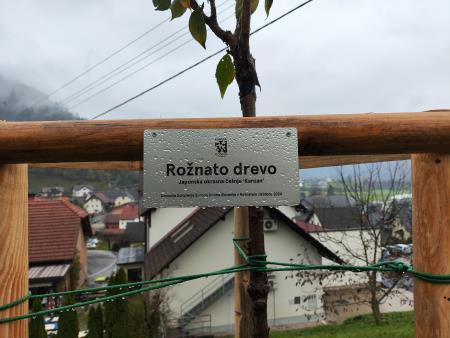 Rožnati oktober (1)